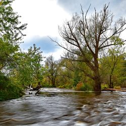 Ellicott Creek - looking North