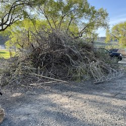 Basin Junk removal & lawn care