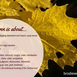 Gaia Acupuncture - Eating according to seasons by Chinese medicine