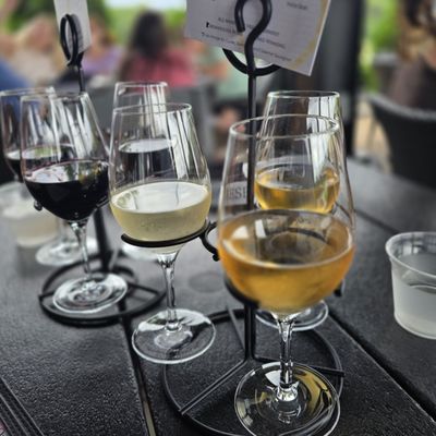 7 Vines Vineyard and Winery by null