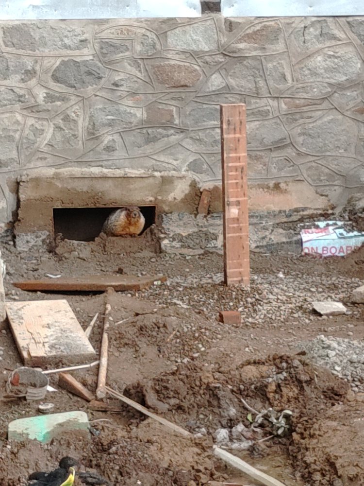 Slide of Swell Plumbing