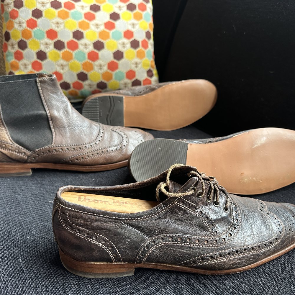 Group Results Sporting Hound Working Terrier Toy Non‐Sporting Herding, image size:1000x1000