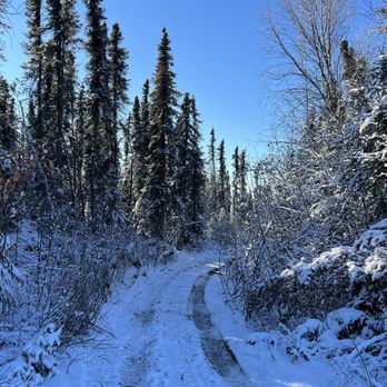 Borealis Basecamp - UTV Tour Path (10/14/22) - Hotels Near Me - Fairbanks, Alaska