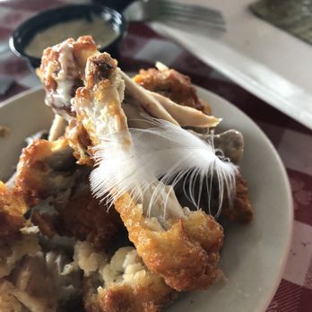 Conchy Joe's - A feather landed on our wings - Seafood Near Me - Jensen Beach, Florida Conchy Joe's - A feather landed on our wings - Seafood Near Me - Jensen Beach, Florida