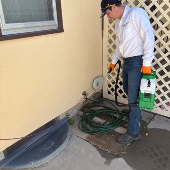 Pueblo Pest Control - Pest Control Near Me - Pueblo West, Colorado Pueblo Pest Control - Pest Control Near Me - Pueblo West, Colorado