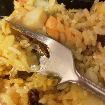 Passion Fin - Fried rice with a cockroach - Asian Fusion Near Me - Bethesda, Maryland Passion Fin - Fried rice with a cockroach - Asian Fusion Near Me - Bethesda, Maryland