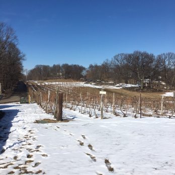 Benmarl Winery - Snowy vineyard - Wineries Near Me - Marlboro, New York