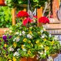 Photo of Galveston Gardens Nursery & Florists