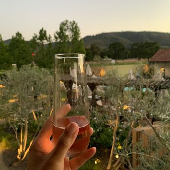 Napa Valley Lodge - View from my balcony overlooking courtyard, enjoying my complimentary Rose - Hotels Near Me - Yountville, California Napa Valley Lodge - View from my balcony overlooking courtyard, enjoying my complimentary Rose - Hotels Near Me - Yountville, California