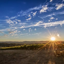 Calluna Vineyards