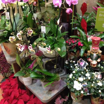 Gelson's Santa Barbara - Flowers - Grocery Near Me - Santa Barbara, California Gelson's Santa Barbara - Flowers - Grocery Near Me - Santa Barbara, California
