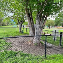 Steamboat Springs KOA - No grass in most of dog enclosure.