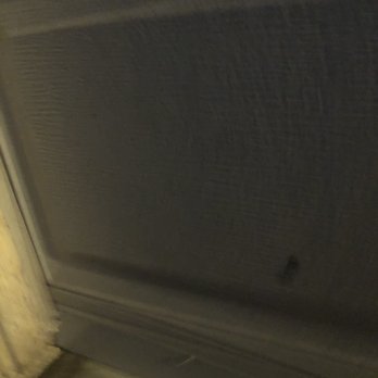 Rodent Innovative Professionals - A garage door block Anthony constructed on site to block the rats' point of entry - Pest Control Near Me Rodent Innovative Professionals - A garage door block Anthony constructed on site to block the rats' point of entry - Pest Control Near Me