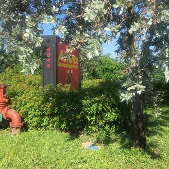 Advance Auto Parts - Sign hidden - Auto Parts & Supplies Near Me - Greenacres, Florida