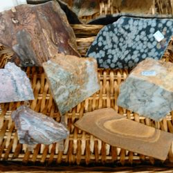 Dials Rock & Fossil Shop - Wide range of cut slabs some polished