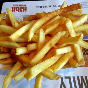 Habit Burger & Grill - No skimping on fries here! - Burgers Near Me - Dublin, California