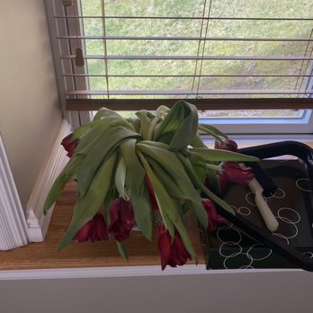 Bells and Blooms - Florists Near Me - Huntersville, North Carolina