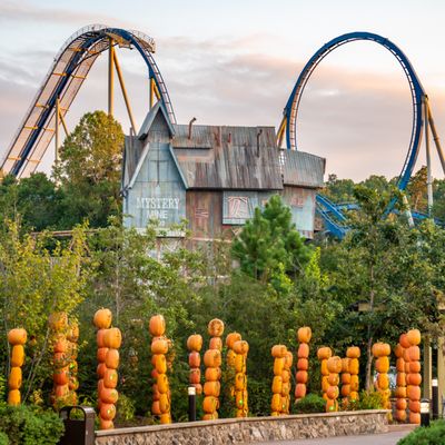 Dollywood's Splash Country by null