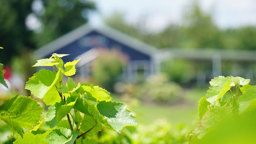 GRAVITY 189 Photos & 135 Reviews 10220 Lauer Rd, Baroda, MI Yelp