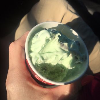 Bruster's Real Ice Cream - Small pistachio in a cup - Ice Cream & Frozen Yogurt Near Me - Palm Coast, Florida Bruster's Real Ice Cream - Small pistachio in a cup - Ice Cream & Frozen Yogurt Near Me - Palm Coast, Florida