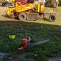 Mountain Tree Service