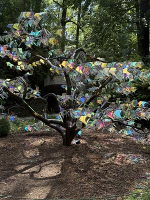 Atlanta Botanical Garden by null