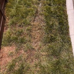 Kaufman Landscape and Design
