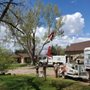 Tanglewood Tree Service