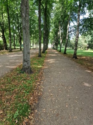 Sanssouci Park by null