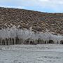 Photo of Crowley Lake Columns