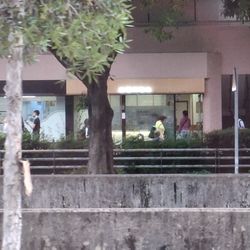 何建忠醫生