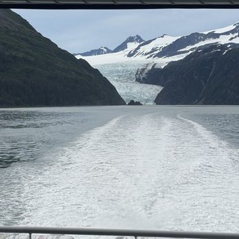 Major Marine Tours - Glacier - Tours Near Me - Anchorage, Alaska Major Marine Tours - Glacier - Tours Near Me - Anchorage, Alaska