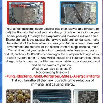 KAN Service - HVAC Deep Pro Cleaning Flyer Page 12 - Heating & Air Conditioning/HVAC Near Me - Van Nuys, California