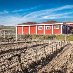Bodegas Valoria - Bodega y Viñedo