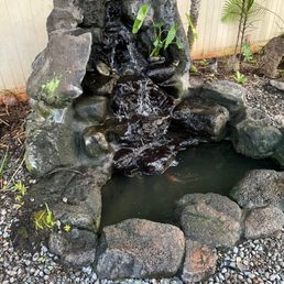 We can see the fish now. The kalo is a great addition.