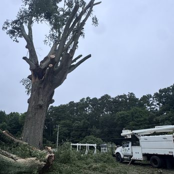 Sherman’s Tree Services - Tree Services Near Me - Mooresville , North Carolina Sherman’s Tree Services - Tree Services Near Me - Mooresville , North Carolina