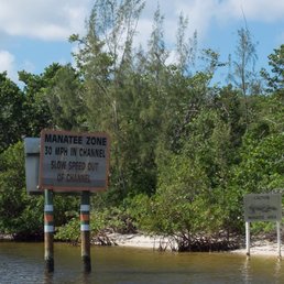 Look for manatees, they are here.