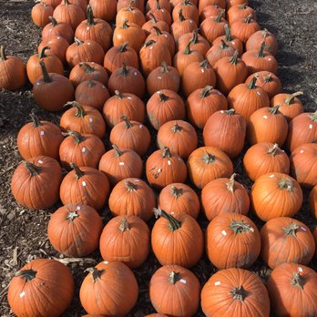 Reesor's Farm Market - Farmers Market Near Me - Markham, Ontario