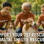 Photo of Coastal Sheltie Rescue