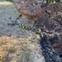 Photo of Franklin Septic Tank Service