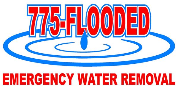 Nye County Flood Response Logo
