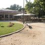Photo of El Balcón del Parque