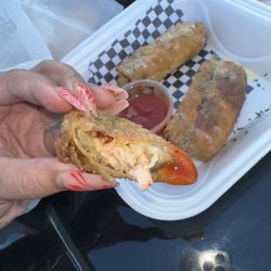 Taste of Flavors - Salmon egg roll
