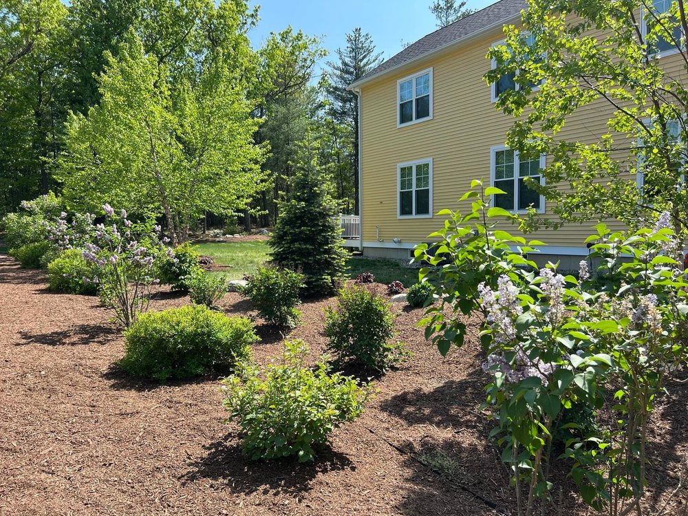 BRAYDEN’S LANDSCAPING Updated September 2024 13 Photos 33 Brook