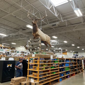 Sportsman's Warehouse - Guns & Ammo Near Me - Thornton, Colorado