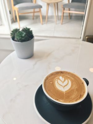 Tulipe by null