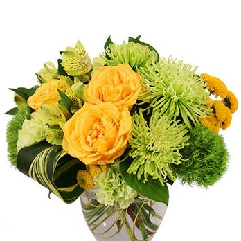 Jayla's Flowers - Florists Near Me - Nappanee, Indiana Jayla's Flowers - Florists Near Me - Nappanee, Indiana