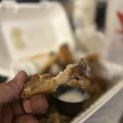 Tampa House Of Wings