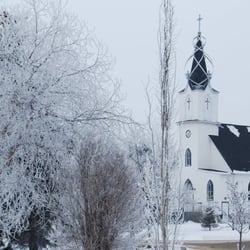 Tourism Camrose - Mirror Lake Area