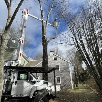 Robery's Tree Service - Professional Tree Services, Crane Services - Tree Services Near Me - Wareham, Massachusetts Robery's Tree Service - Professional Tree Services, Crane Services - Tree Services Near Me - Wareham, Massachusetts
